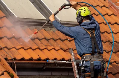 Démoussage et hydrofuge de toiture au Vieux-Bourg